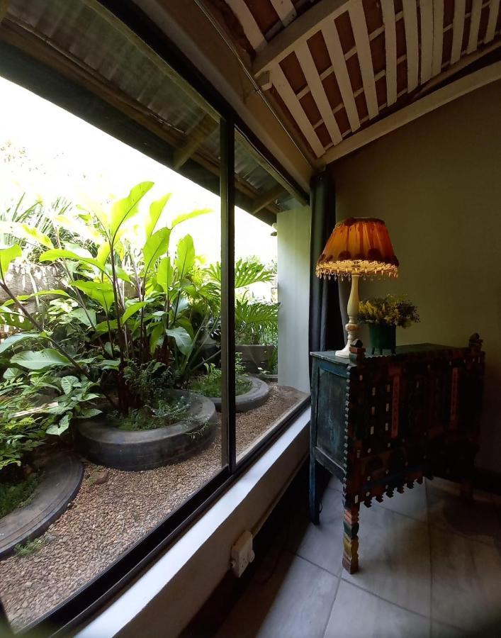 Ascot Bush Lodge Pietermaritzburg Εξωτερικό φωτογραφία