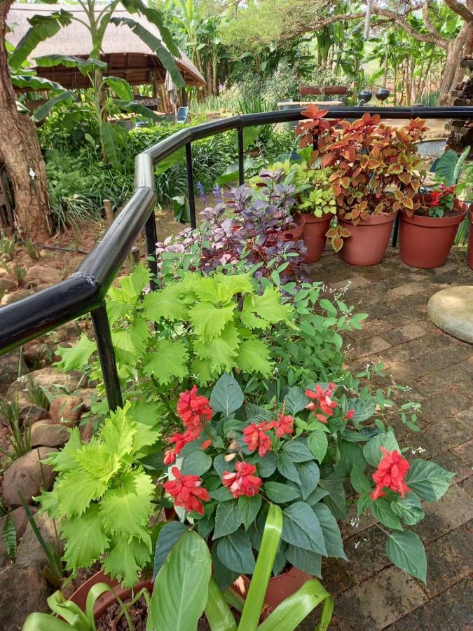 Ascot Bush Lodge Pietermaritzburg Εξωτερικό φωτογραφία