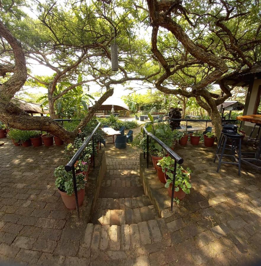 Ascot Bush Lodge Pietermaritzburg Εξωτερικό φωτογραφία