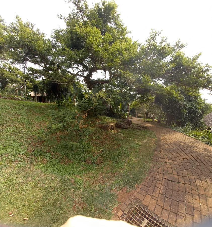 Ascot Bush Lodge Pietermaritzburg Εξωτερικό φωτογραφία