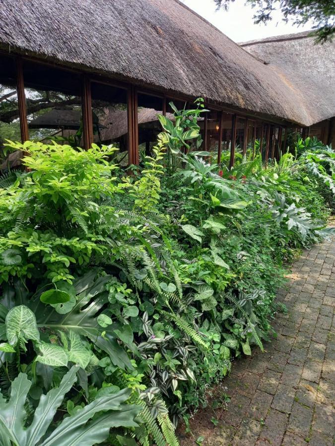 Ascot Bush Lodge Pietermaritzburg Εξωτερικό φωτογραφία