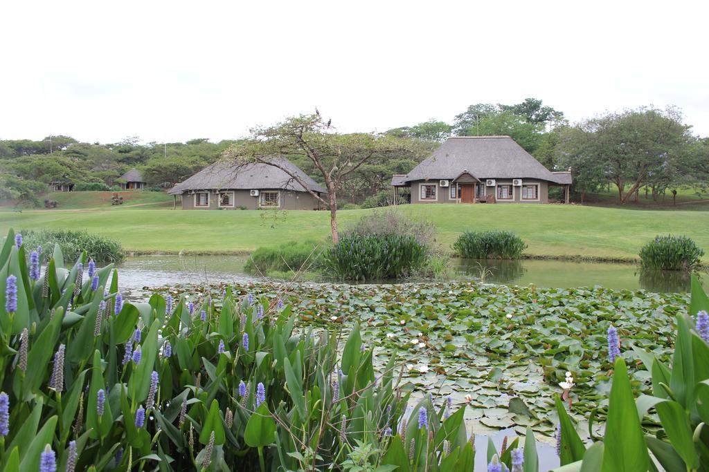 Ascot Bush Lodge Pietermaritzburg Εξωτερικό φωτογραφία