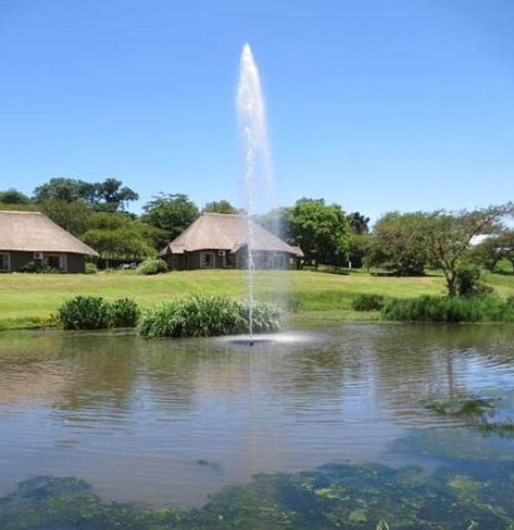 Ascot Bush Lodge Pietermaritzburg Δωμάτιο φωτογραφία